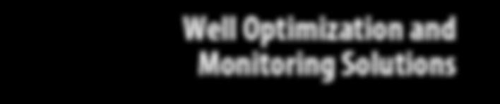 Well Optimization and Monitoring Solutions The Leader in Wellhead Optimization Innovation Today, leading oil & gas