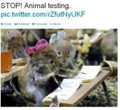 report is published on animal testing at Imperial College Pushing