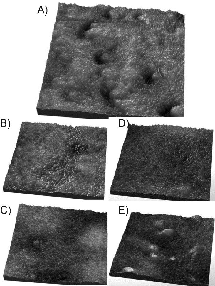 On figure 7B and 7D the A7FR/60 sample washed for 1hour in Trisol 60 Plus and Houghto Clean 530 respectively, are shown. Inner layer, like cracks, and edges deformation are well visible.