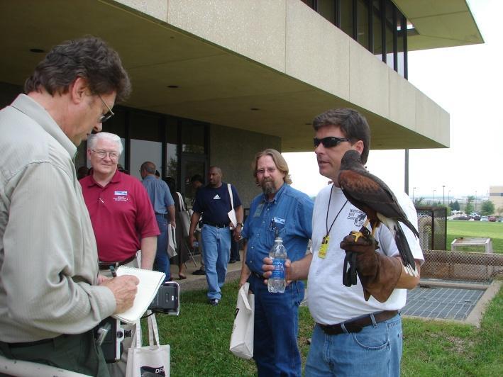 Pros and Cons of Falconry Pros: Effective Lasting Results Economical
