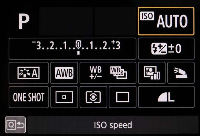If you are in the Auto +, CA or the SCN modes the display will be different, as the only options selectable will be the drive speed, the file format and a few creative option within the PIC/CA modes