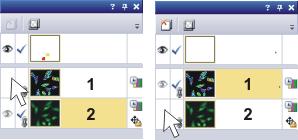 Life Science Applications - Ratio Analysis Viewing the ratio image and the source image separately If this time is not on display, select the Tools > Options... command.