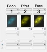 Life Science Applications - FRET Analysis Defining ROIs for background correction 4. Define a ROI on each image in a dark image segment that has no fluorescing objects.