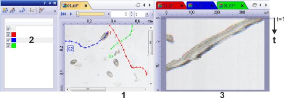 Life Science Applications - Kymograph 10.2. Kymograph What does the kymograph measure? Use the Kymograph tool window to create a visual representation of the movement of objects in an image series.