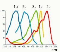 Life Science Applications - Fluorescence Unmixing Excitation and Emissions spectra the emission wavelength ranges 1b, 2b, 3b.