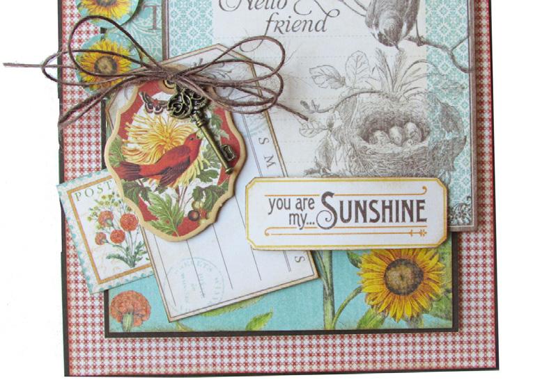 From the 6x6 Patterns and Solids Pad, trim the red gingham paper to 57 8" x 47 8" and attach to the card front.