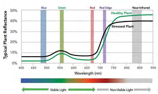 Application Understanding & Approach Multispectral cameras work by imaging different wavelengths of light.