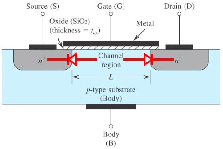 Current cannot flow into channel from the Drain, as this requires current flowing from an n-type (cathode) region into a p-type (anode) region.