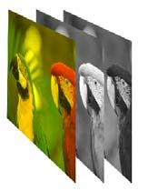 Digital color imaging color Parrots R channel G channel B channel column k 2
