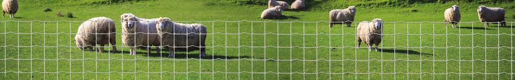 SHEEP & GOAT FENCE FEATURES Stiff-Stay knot. Strongest sheep & goat fence available on the market today.