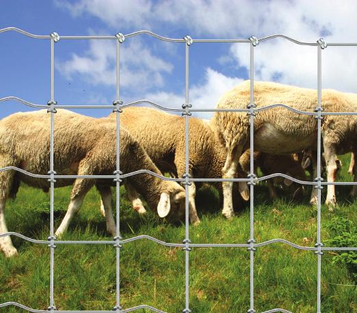 SHEEP & GOAT FENCE ADVANTAGES Rust and corrosion resistant.