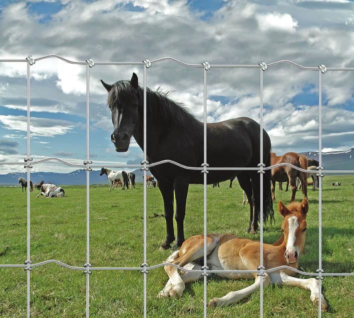 HORSE FENCE ADVANTAGES Hight tensile wire will not stretch and sag like low tensile wire. Rust and corrosion resistant.
