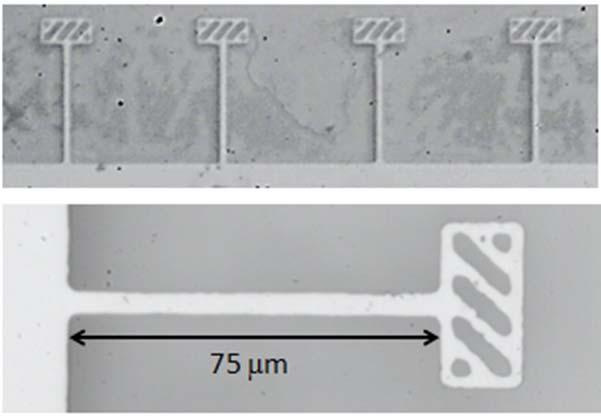 Fig. 9. Nickel cantilevers were used in the experiments. The thickness is 2 µm.