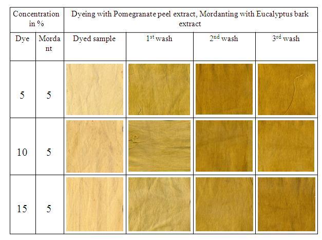 Figure 3. Colour fastness to washing results using salt mordanting process Figure 1. Colouring effects of Pomegranate peel extract dye.