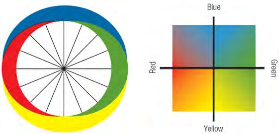 83 84 3 Receptor Types Allows multiple dimensions of colour sensitivity In humans, red/green and
