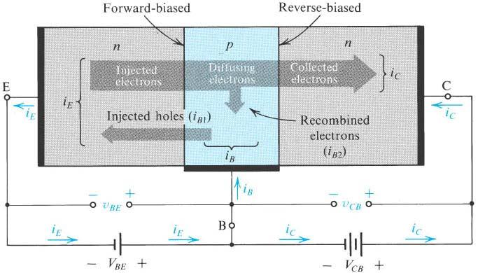 Lecture 7. Bipolar Junction Transistor (BJT) Figure 7.7: Current flow in an NPN transistor to operate in the active mode. Forward bias, v BE > 0.