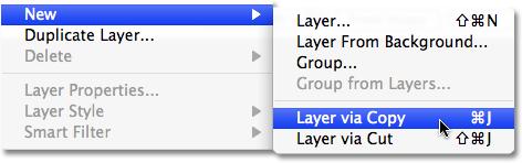 Command+J (Mac): Go to Layer > New > Layer via Copy.