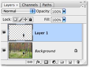 Background layer. Photoshop has automatically named the new layer Layer 1 : The selected area has been copied to its own layer above the Background layer.