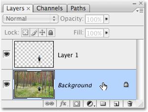 Since we currently have Layer 1 selected, we ll need to select the Background layer by clicking on it in the Layers palette.