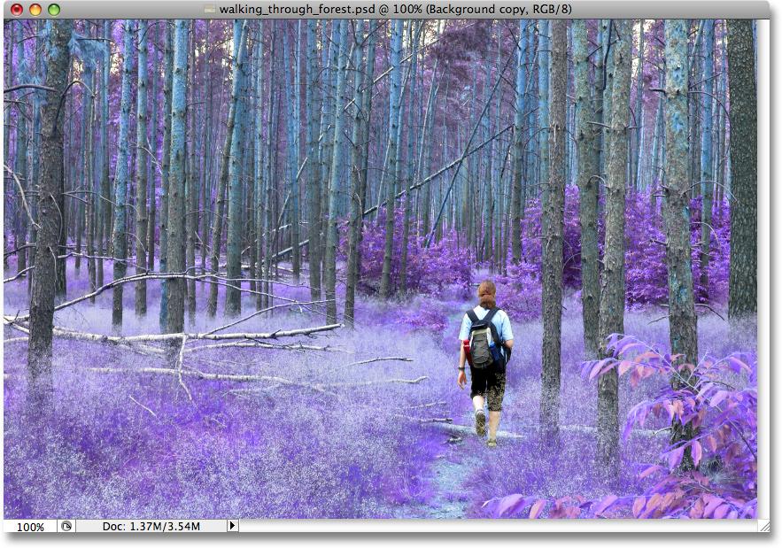 The Color blend mode restores the original brightness values in the image, leaving only the colors inverted: The basic effect is now complete, but I m going to add a bit more of a mystical look to