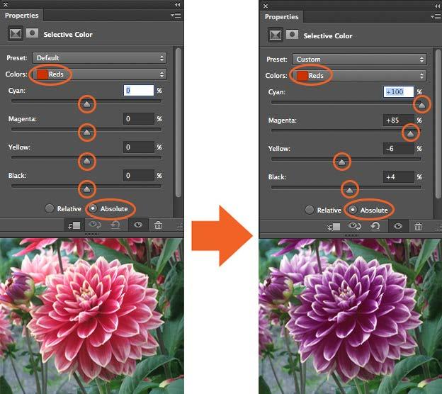 16. Selective Color The Selective Color adjustment layer selectively modifies the amount of a primary color without modifying the other primary colors in your image.