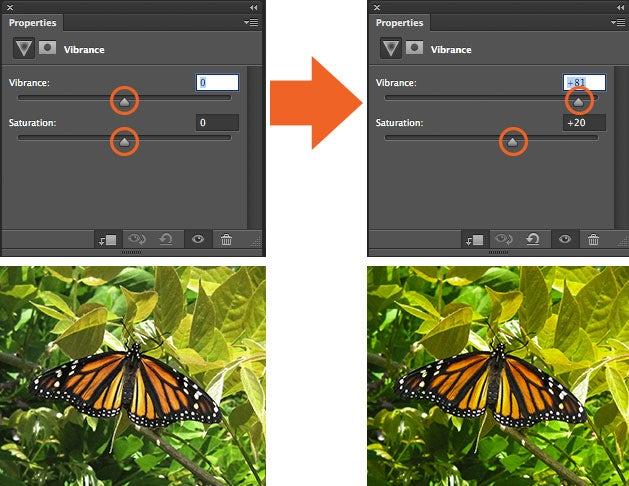 5. Vibrance This adjustment layer modifies the vibrance of an image in two ways. The Saturation slider evenly increases the saturation of all the colors in the image.