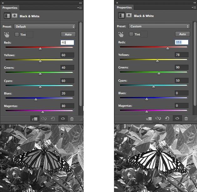 8. Black & White The Black and White adjustment lets you make grayscale versions of your images. The image on the left is the default setting.
