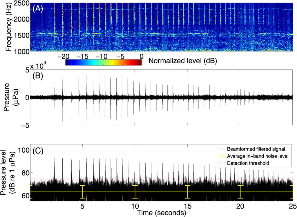 FIG. 3. (Color online) (A) Spectrogram of a series of sperm whale echolocation clicks recorded at frequencies up to 2.5 khz in the Gulf of Maine on May 14 starting at 17:19:07 EDT.