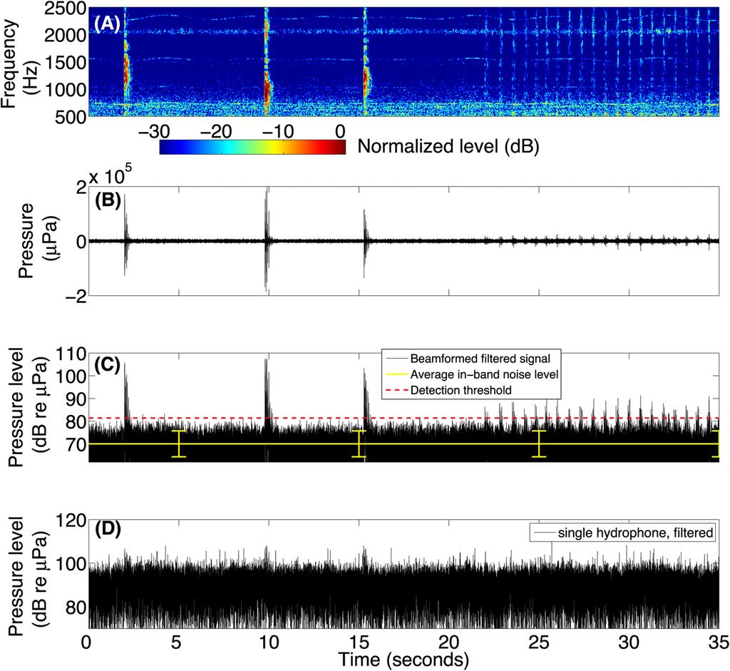 (C) Beamformed pressure time series plotted in decibel (db) scale.