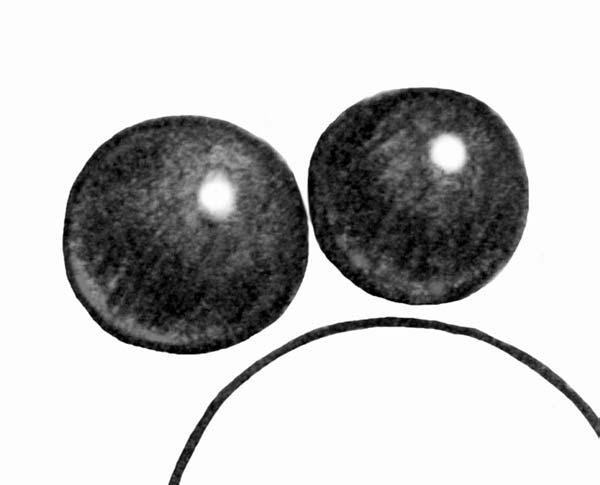 4 5) Add shading to both eyes. When shaded with a full range of values, the eyes look like three dimensional balls (spheres).