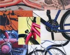 OBJECTIVE Develop your perceptual skills by setting up a still life of a bicycle and create an interesting