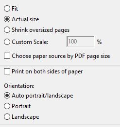It is possible to print only certain sizes using the layers function in acrobat.