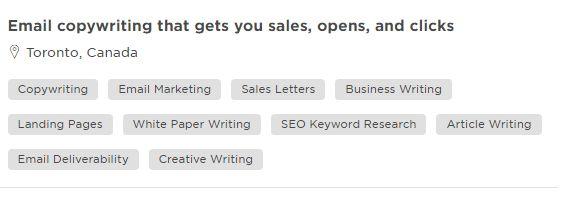 This here is a great example of a freelancer who has narrowed down their focus on one niche (email marketing).