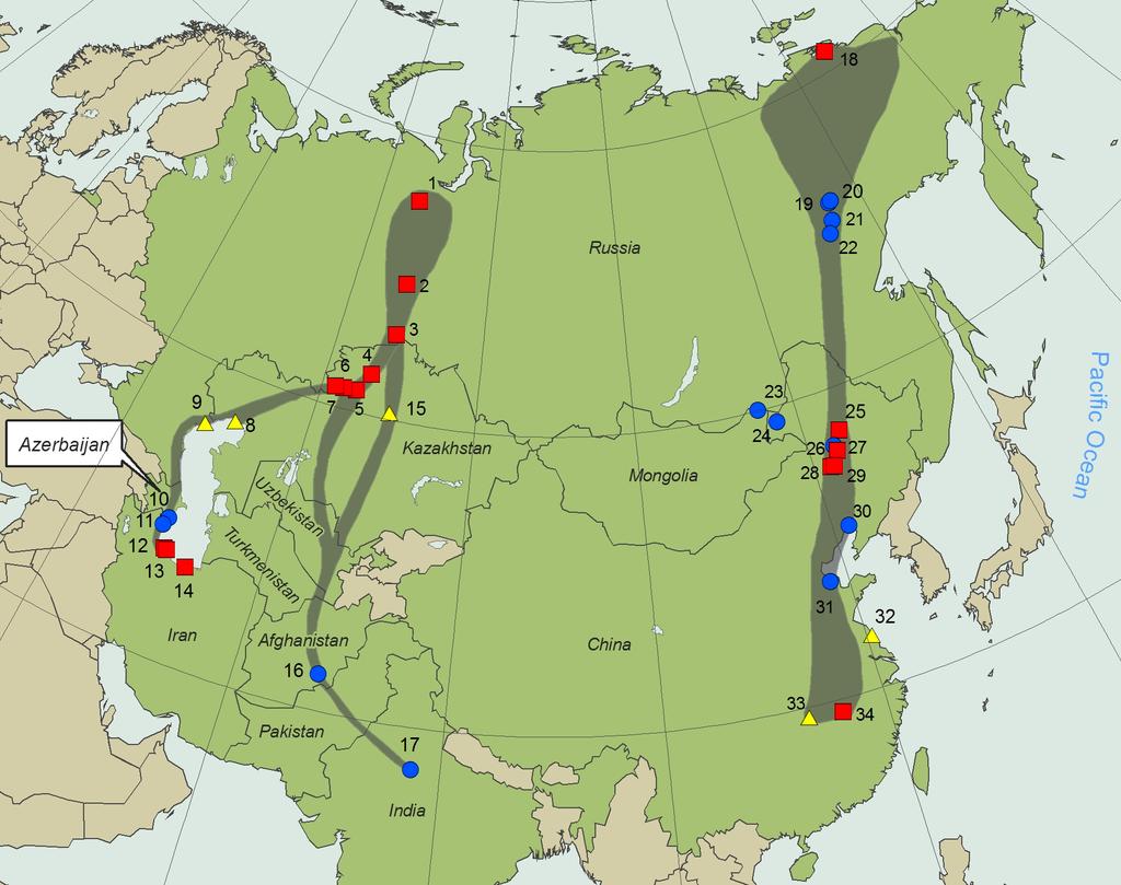 Siberian Crane Migration Routes Map by the