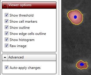 Only thereafter the program can determine the individual cell properties using the images. 11.2. Advanced Using Auto-apply Changes (Figure 126) allows the user to implement all changes immediately.