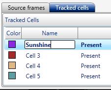 13.11. Source frames tab Below the Tracking window there are two tabs with lists (Figure 170). The Source frames list contains information on the frames that are included in the tracking analysis. 13.