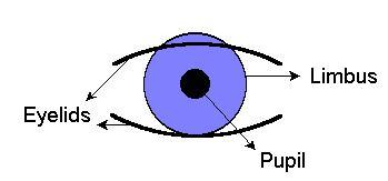 The iris region in an image can be defined by two boundary circles, an inner circle that corresponds to the boundary of the pupil and iris, and an outer circle on the boundary of the iris and the