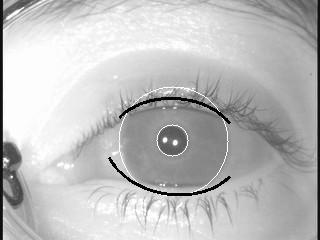 to fool the system due to intrinsic properties of the eye; Presence of a corneal reflection near the center of the pupil: guarantees