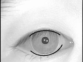 Therefore the corneal reflection will always lie in the center of the pupil, and the iris pattern will not be corrupted by optical or