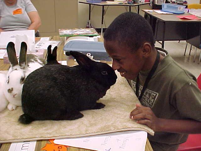 My pets make frequent visits to the classroom.