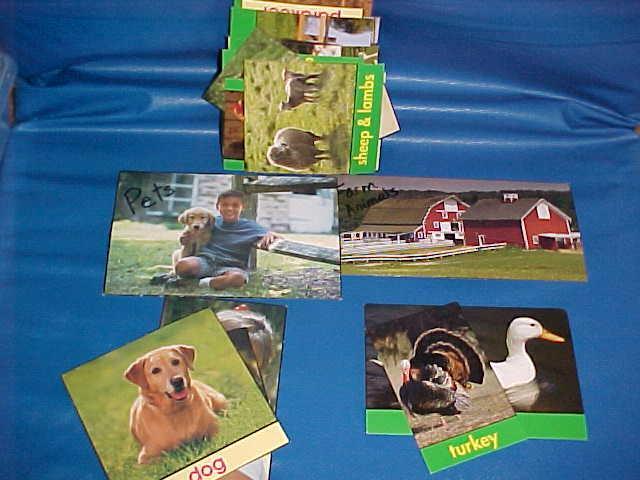 Sort pets from farm animals. Created using: cut up farm animals and pets poster.