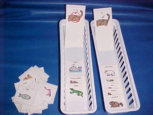 Sort furry animals from non-furry animals. Created using: Mayer-Johnson Inc. Boardmaker, cardstock, and laminating film.