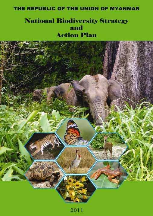 7. Action Plans related to Wetlands Conservation Myanmar NBSAP has outlined.