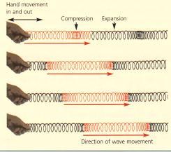 Types of Waves Waves are regular patterns of disturbance.