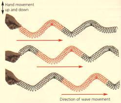 Longitudinal Waves The particles move backwards and forwards in the same plane