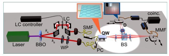 Single Photon Detector for Quantum Information Quantum Walk for Bosonic and Fermionic