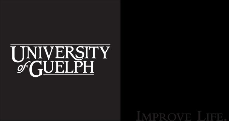 University of Guelph Strategic