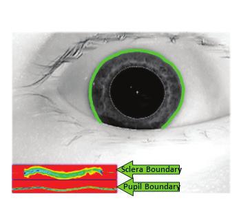 This step refines the initial iris segmentation. B. Gaze correction. Sometimes images are captured of eyes not looking directly into the camera.