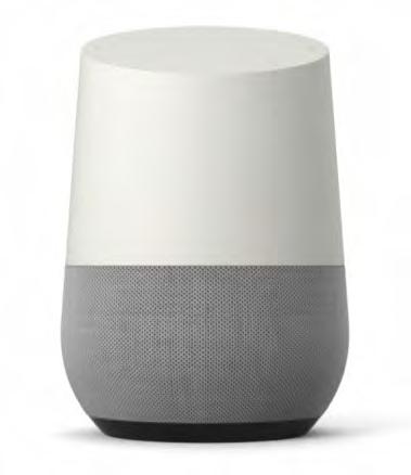 ECHO GOOGLE HOME OTHER