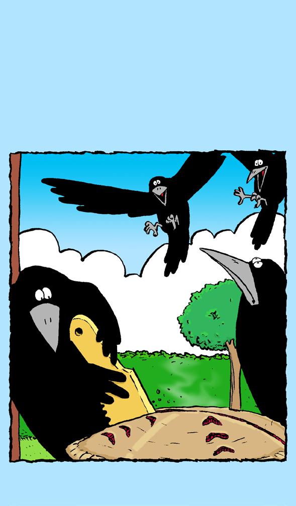 Crows Share a Pie A Reading A Z Level N Leveled Book Word